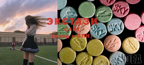 PSILOCYBIN Заполярный